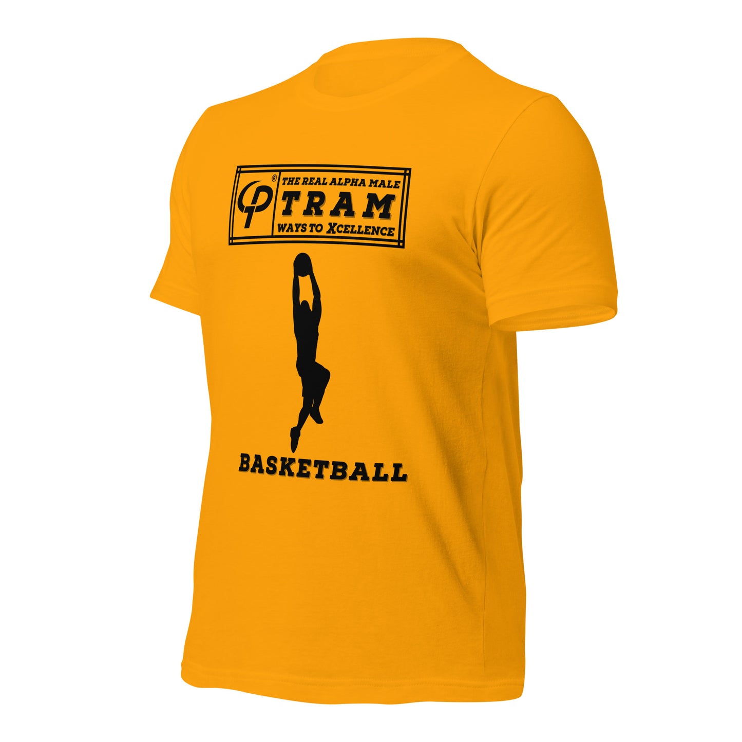 TRAM Sports - Basketball (I get buckets!)