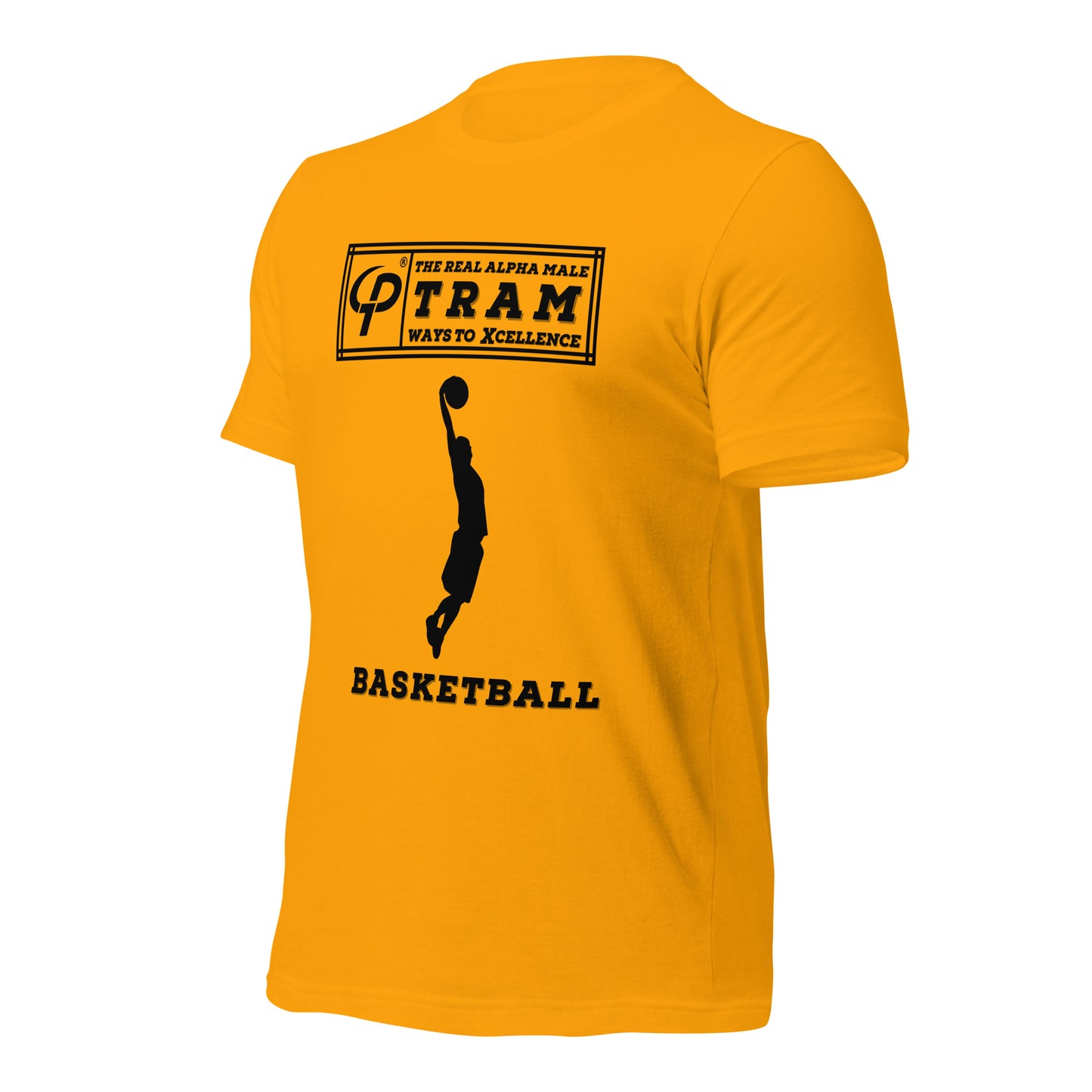 TRAM Sports - Basketball (Dunk)