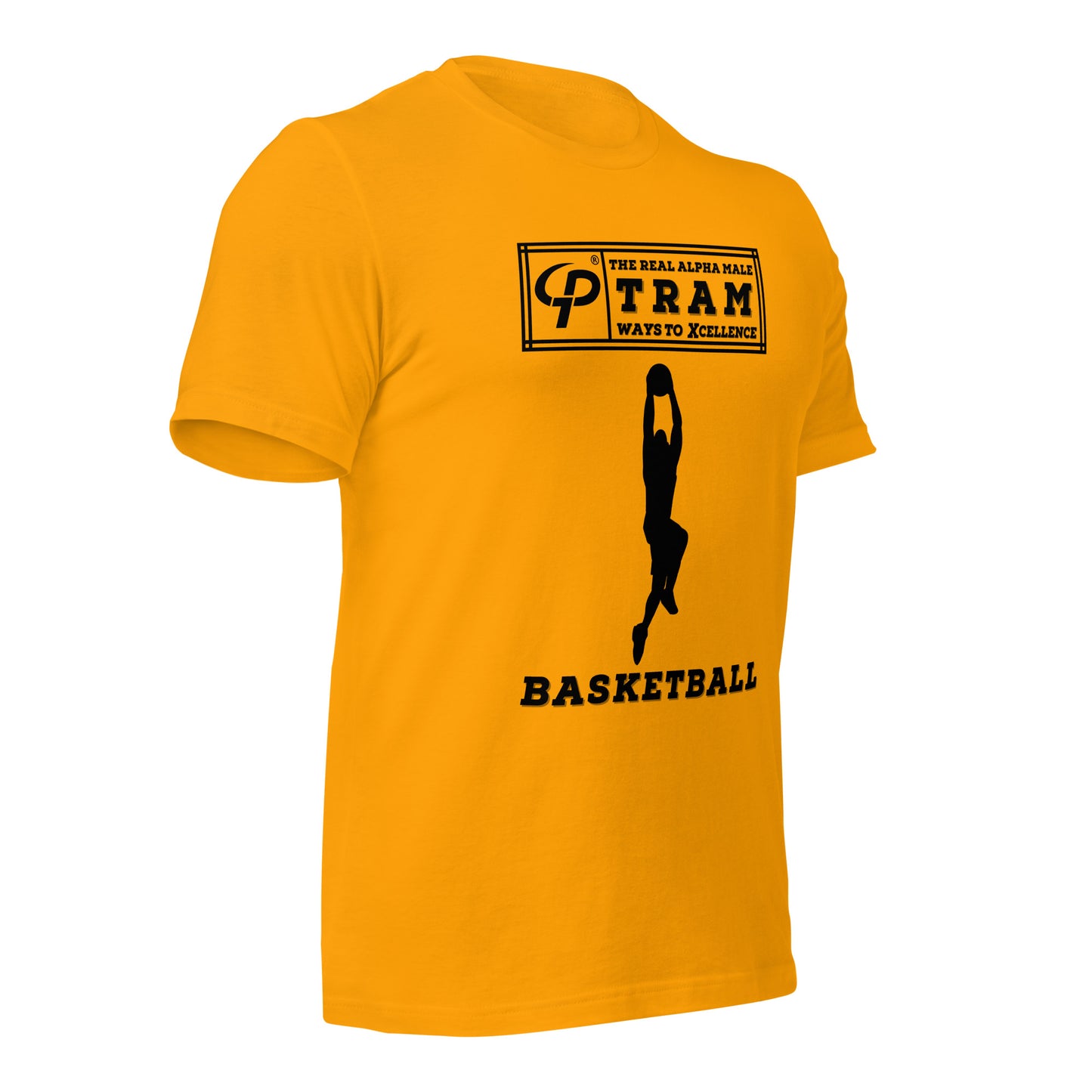 TRAM Sports - Basketball (I get buckets!)