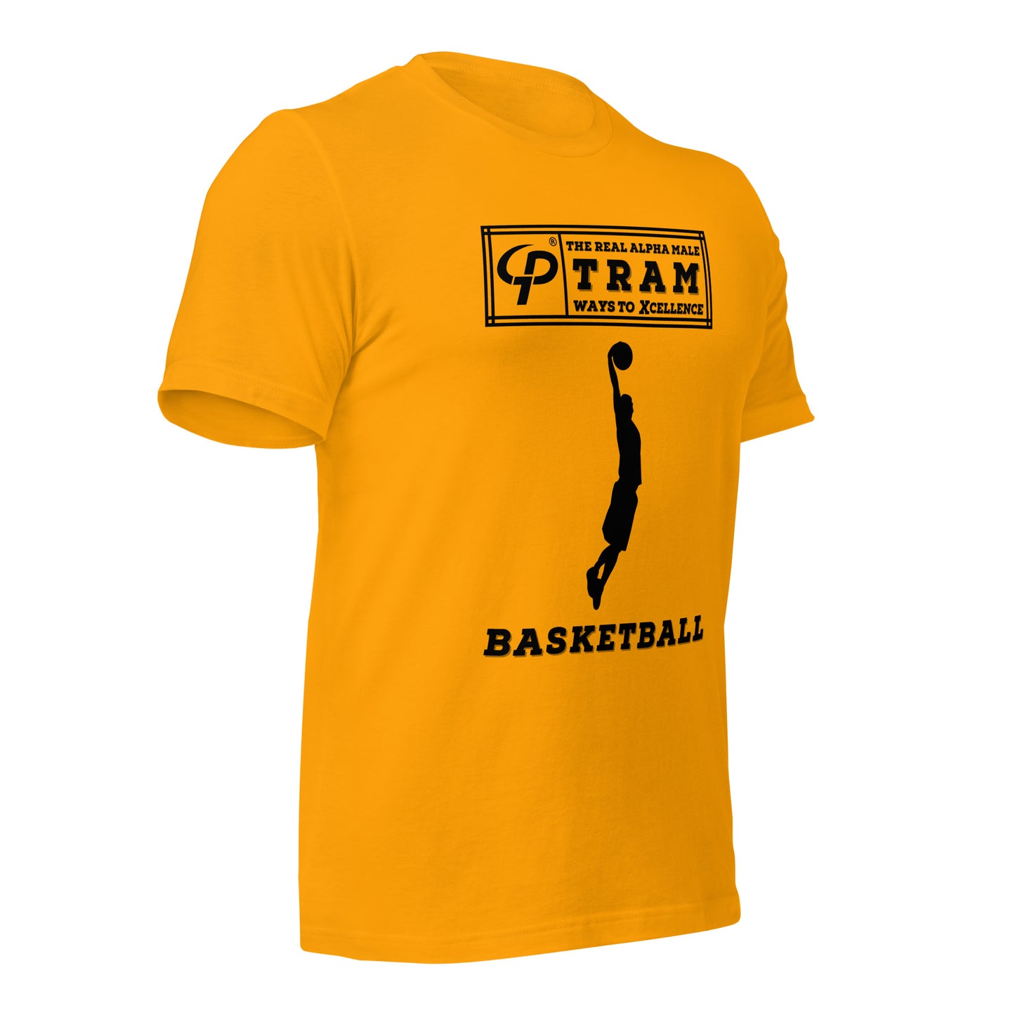 TRAM Sports - Basketball (Dunk)