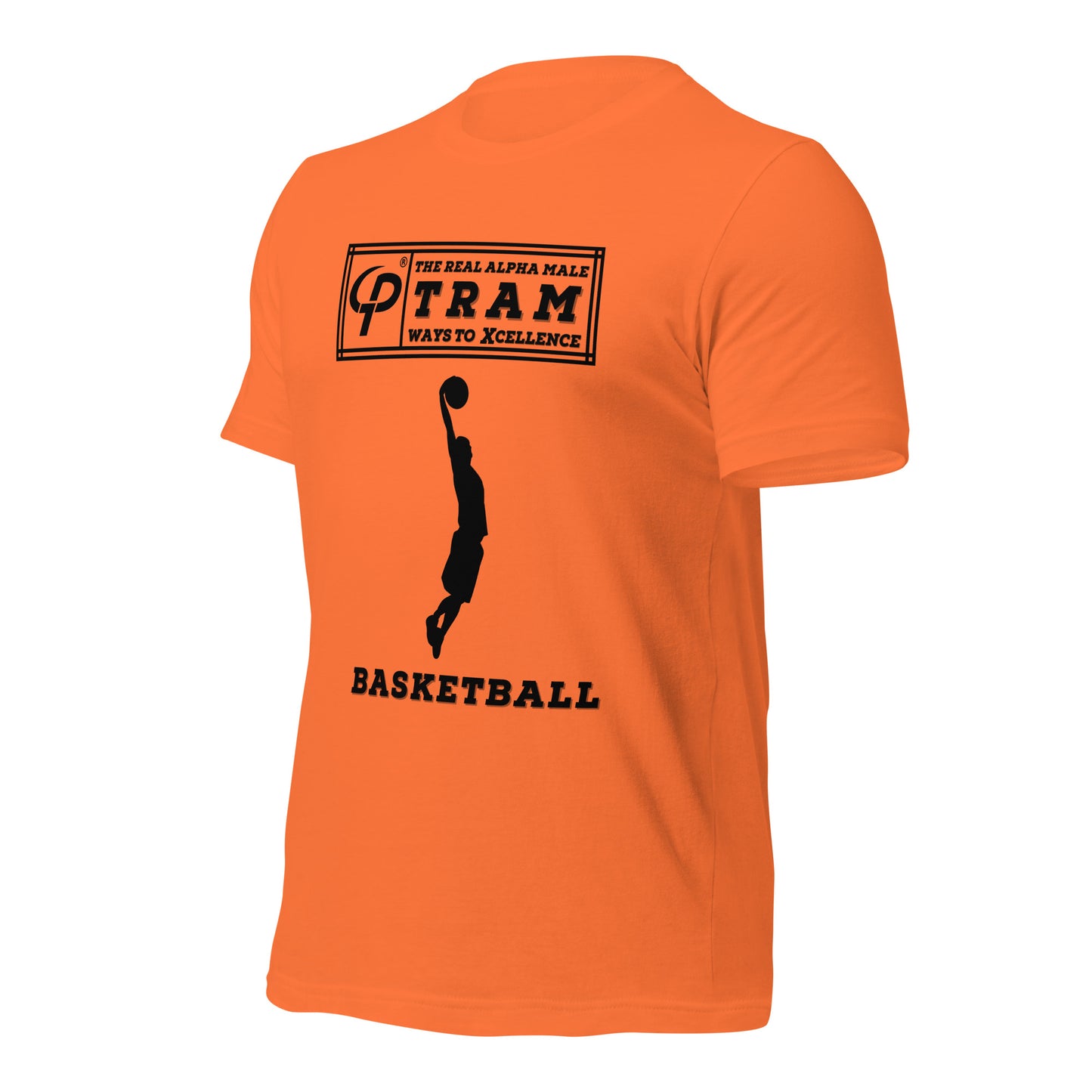 TRAM Sports - Basketball (Dunk)