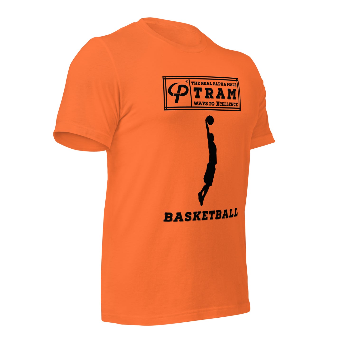 TRAM Sports - Basketball (Dunk)